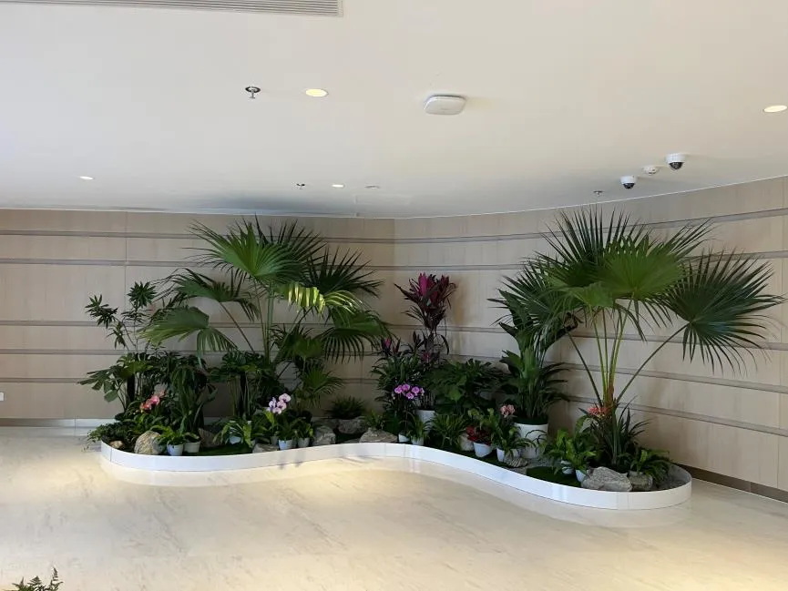 聚焦宁波江北绿植租摆设计，装点美好环境